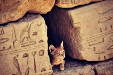 Jeep Tour to the Ancient Roman Settlement in Hurghada