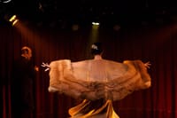 Tango show at rojo tango