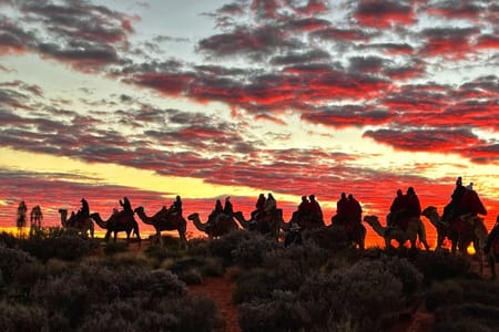 Authentic Camel Ride in Agafay Desert with Mint Tea Experience
