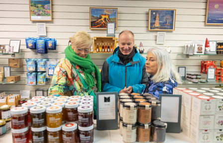 Private Reykjavik Walking Tour – 3 hours