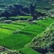 Sapa 3 Days Trekking Tour ( Overnight Train + Homestay + Hotel )