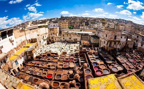 Fes Medina Walking Tour with Local Guide in Morocco