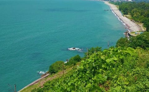 Explore Batumi's Boulevard, Argo, and Dendrological Park