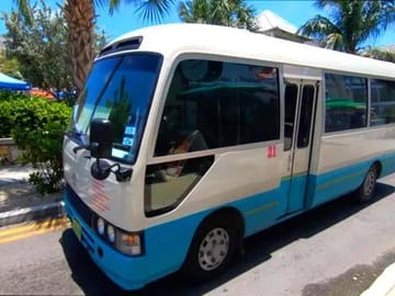 Roatan Sun & Fun, Sloths & Monkeys, Beach & Private Transfer