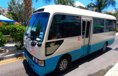 Private Big Bus Tour with Tastings in Dixon Cove, Honduras
