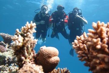 Full-Day Snorkeling Tour at Sharm El Naga from Hurghada