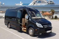 Santorini Port to any Hotels or vice versa 1