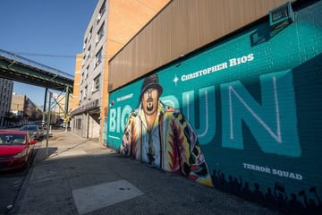 New York Contrasts and Gospel Mass Tour in Harlem