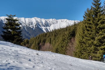 Hiking Tour in Brașov, Holbav, and Poiana Marului