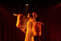 Rojo Tango Show with private transfers in Buenos Aires 4