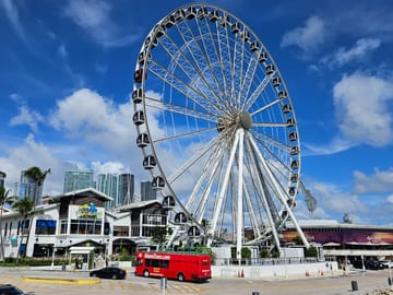 Double Decker Bus Tour of Miami, Coral Gables, and Miami Beach