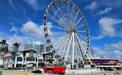 Double Decker Bus Tour of Miami, Coral Gables, and Miami Beach