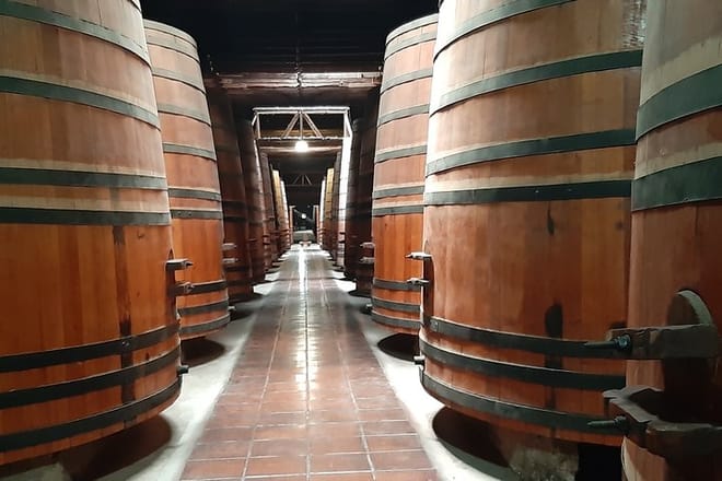 Horseback riding and wines from Santiago 10