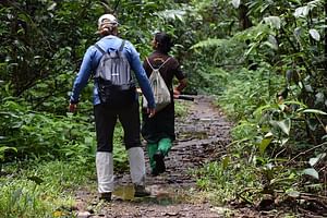 Sinharaja Rain Forest Tour from Bentota