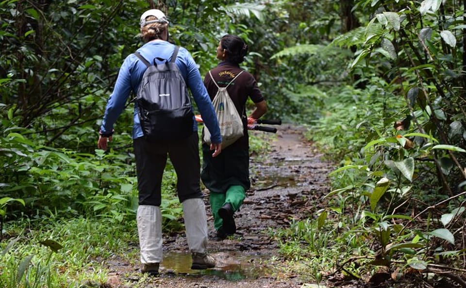 Sinharaja Rainforest Day Tour from Bentota