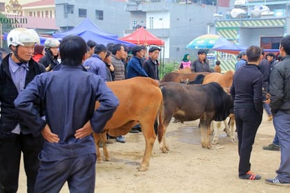 Ha Giang 3 days/ 2 nights adventure: Amazing adventure & mountain pictureques