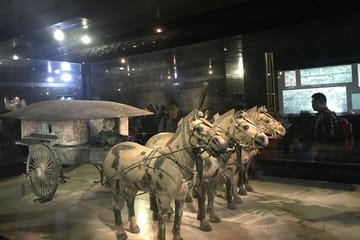 Private Tour of Terracotta Army and Ancient Temples in Xi'an