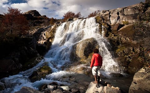 Full-Day Estancia Cristina Tour from El Calafate with Lunch