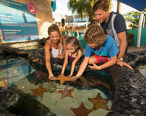 Interactive Aquarium Entrance