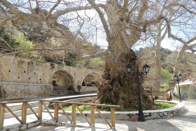 Shared Tour: Knossos & Lasithi Plateau – Land of Zeus, Villages & Olive Oil Traditions 9