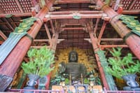 Nara Half Day Trip Walking Tour (Private Option Available) 9