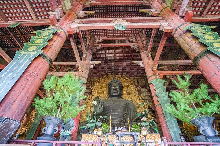 Nara Half Day Trip Walking Tour (Private Option Available) 9