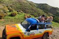 Shore Excursion Porto Moniz - Enchanted Terraces 4x4 tour  1
