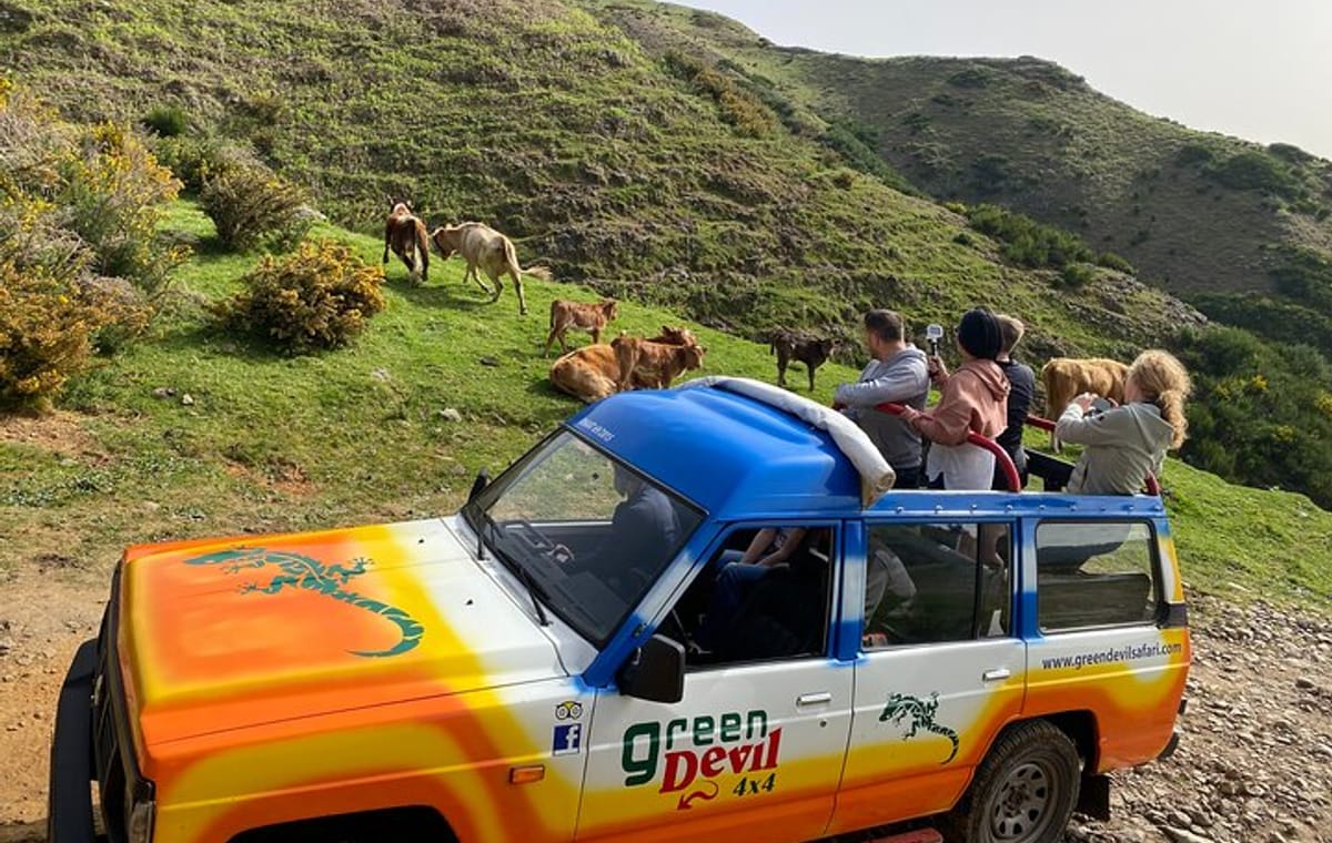Shore Excursion Porto Moniz – Enchanted Terraces 4×4 tour