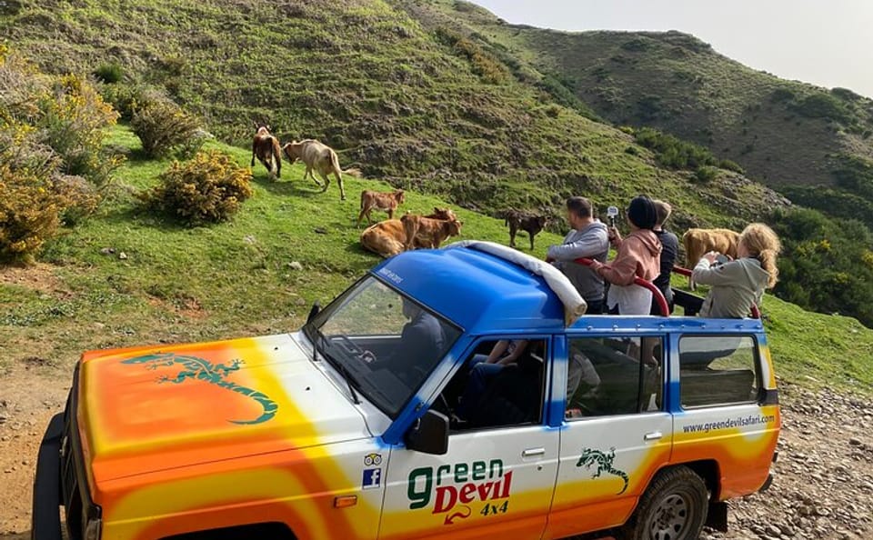 4x4 Tour of Porto Moniz from Funchal with Scenic Views