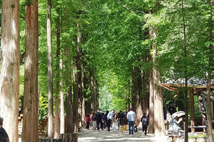 Private Tour including Nami Island with attractions in Seoul