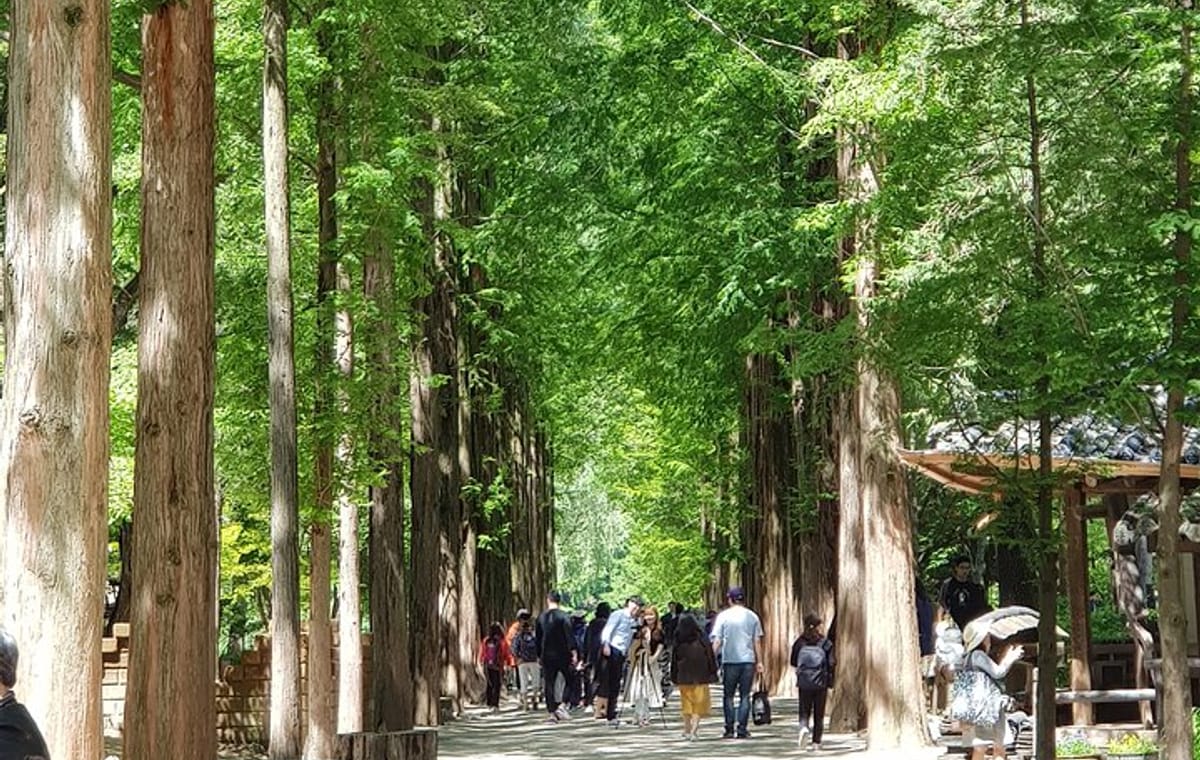 Private Tour including Nami Island with attractions in Seoul