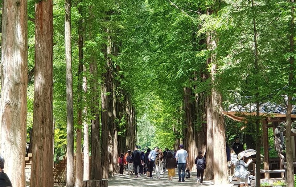 Private Day Tour to Nami Island and Seoul Attractions