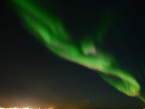 Boat guests watching the Northern Lights over the ocean