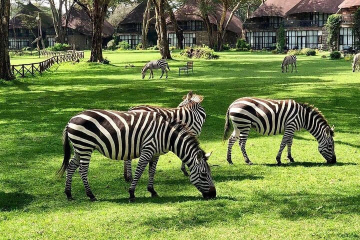 At sopa lodge Naivasha