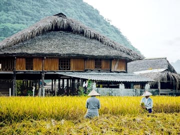2-Day Sapa Trekking Tour with Overnight in Tavan Village
