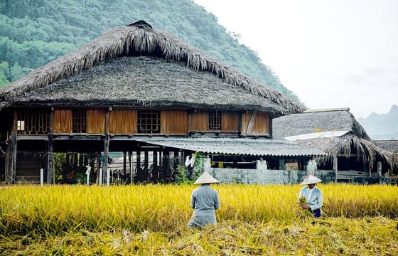 2-Days Sapa Trekking From Hanoi Overnight in Tavan Village