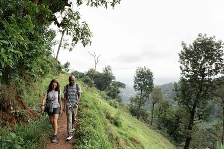 Pidurangala Sunrise Hike & Hiriwadunna Village Experience Tour