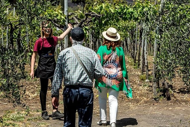 Pompeii Ruins and Vesuvius Winery Lunch with Private Transfer - Photo 5
