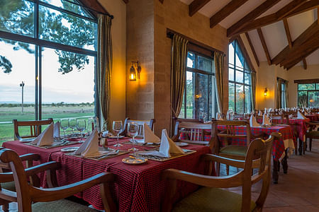 3 DAYS OLPEJETA CONSERVANCY SAFARI FROM NAIROBI