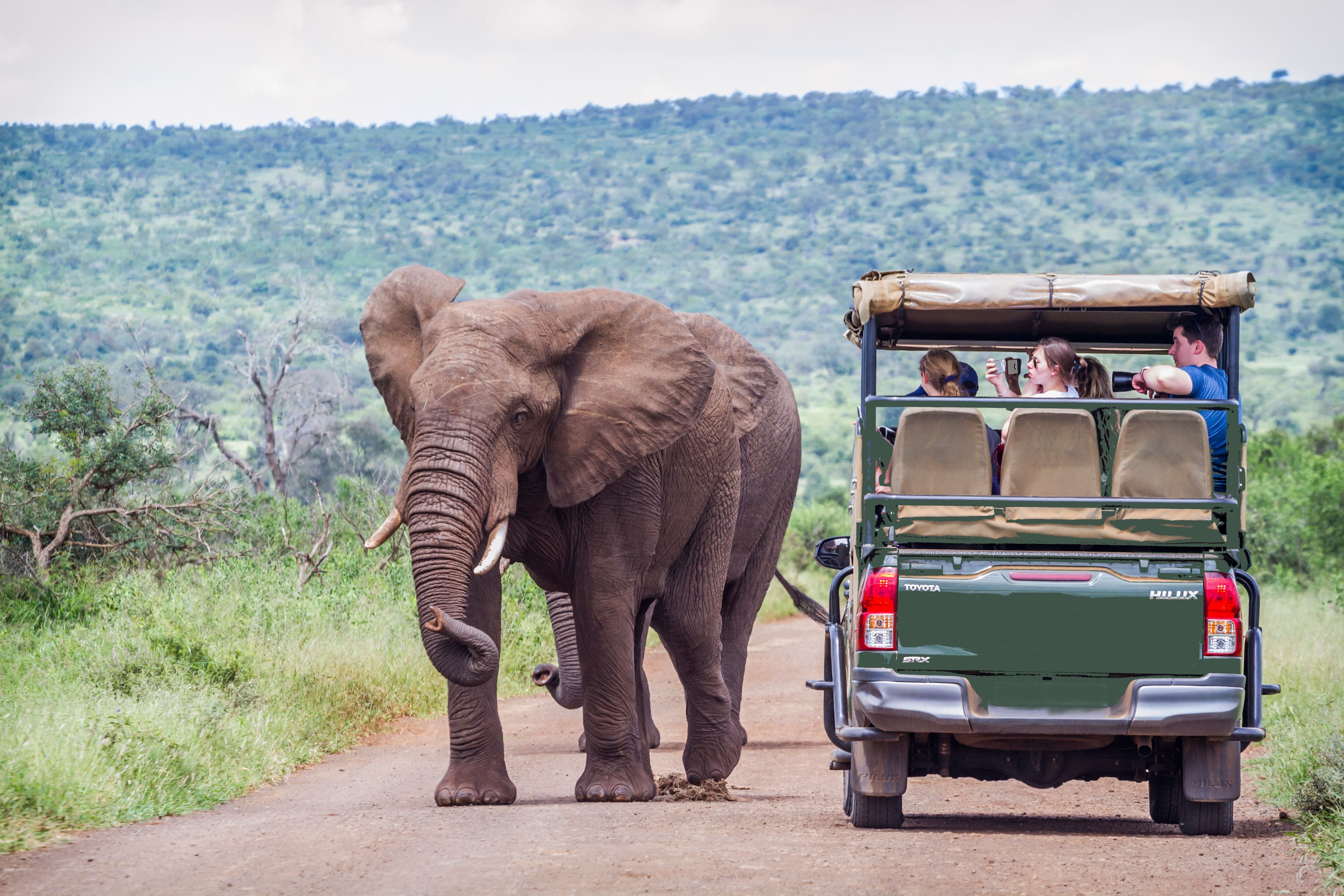 Choose us for the best guided Pilanesberg Safari Tours Johannesburg. Pilanesberg Day Safari