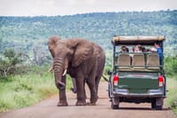 Tourists viewing an african elephant from the back of an open safari vehicle in Pilanesberg