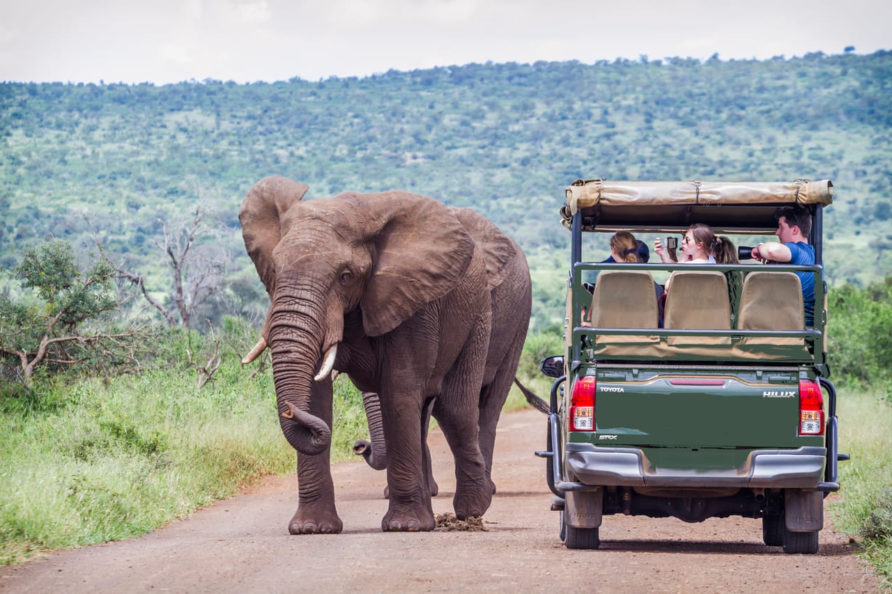 Tourists viewing an african elephant from the back of an open safari vehicle in Pilanesberg