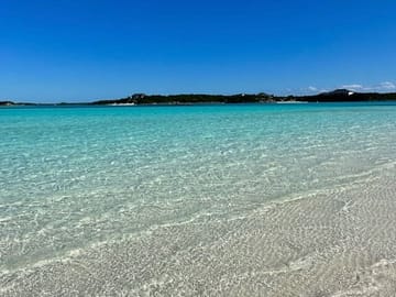 Exuma Private Tour: Iguanas, Sharks, and Swimming Pigs