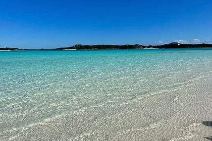 Exuma Day trip Iguanas,Sharks & Swimming Pigs Private Tour (8hrs)