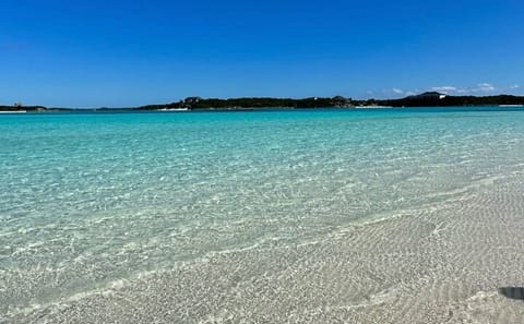 Exuma Private Tour: Iguanas, Sharks, and Swimming Pigs
