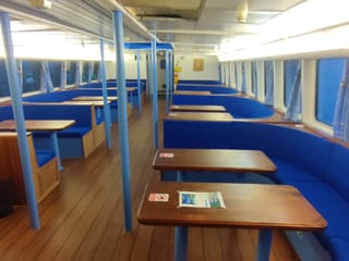 Whale & Marine Adventure Tour, photo 20