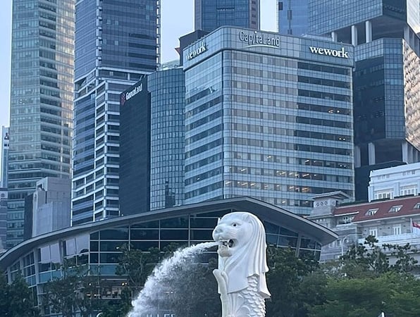 Full Day Singapore City Tour with Flyer, SkyPark and Gardens by the Bay product photo