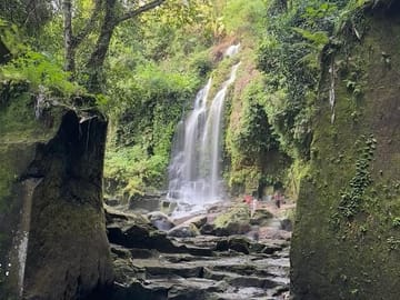 Full Day Waterfall Tour in Ubud and Kuta Selatan