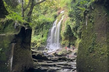 Full Day Waterfall Tour in Ubud and Kuta Selatan