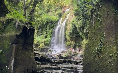 Full Day Waterfall Tour in Ubud and Kuta Selatan